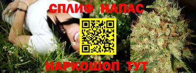 молекула духа Лесосибирск